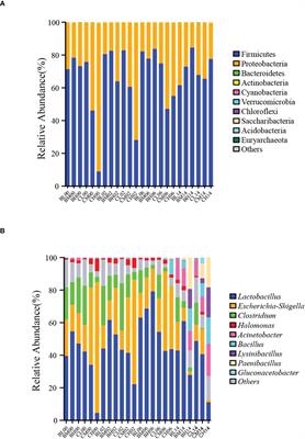 Effects of sugarcane variety and nitrogen application level on the quality and aerobic stability of sugarcane tops silage